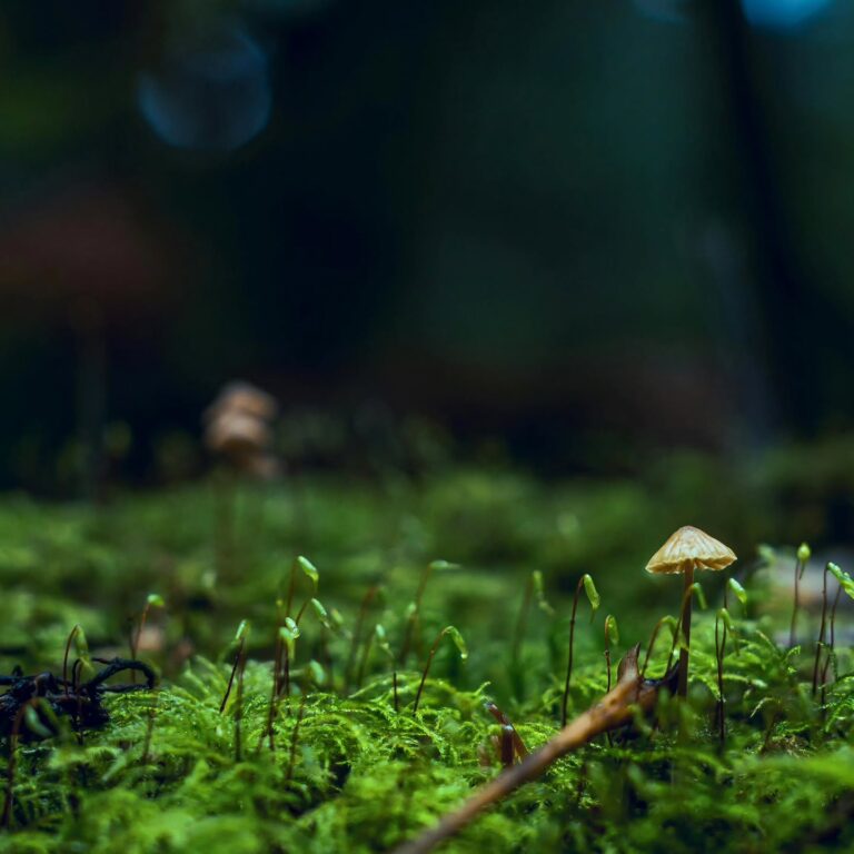 Instagram post from being_introvert7. This post is in position 3.