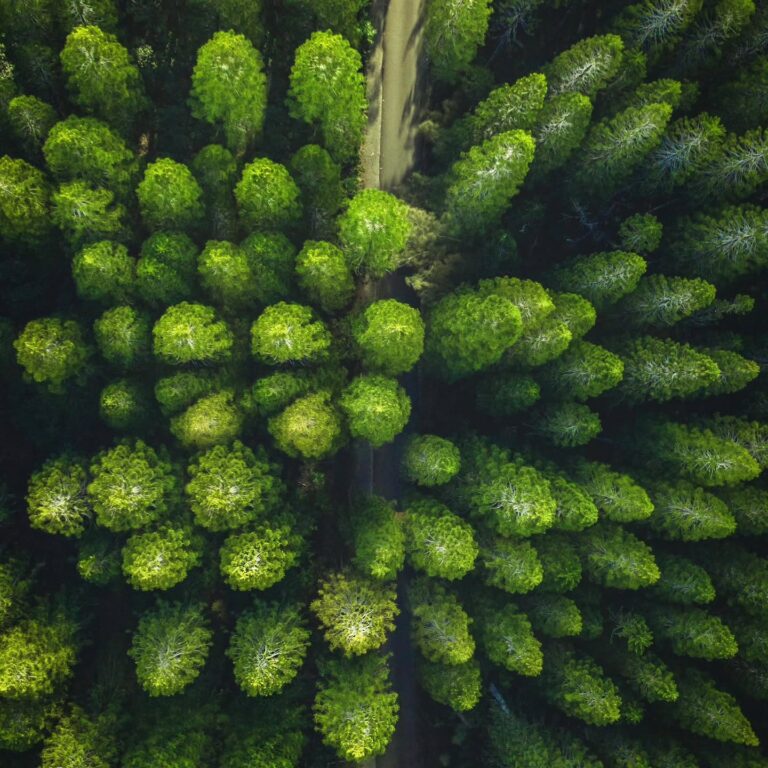 Instagram post from being_introvert7. This post is in position 5.